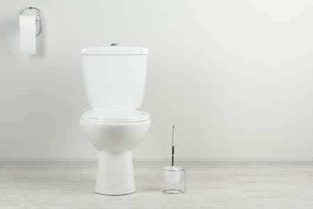 Toilet replacement toilet repair
